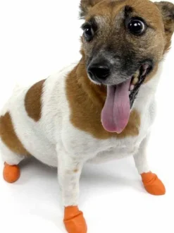 Pawz Dog Boots Color Orange XS| Koiran Tossut