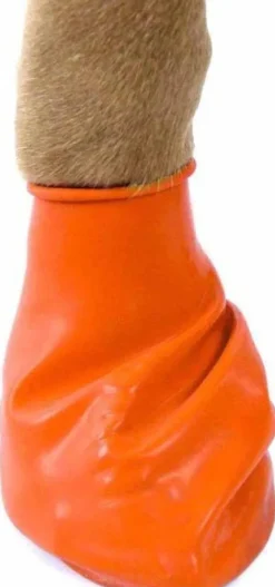 Pawz Dog Boots Color Orange XS| Koiran Tossut