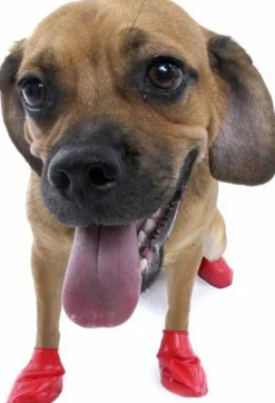 Pawz Koiran Tossut^Dog Boots Color Red S