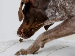 Petgood Makupalat^makupalat koirille, 100 g