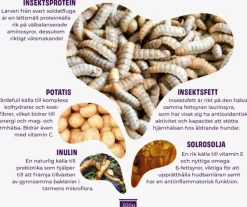 Petgood Koiran Märkäruoka^märkäruoka aikuisille koirille, 300 g