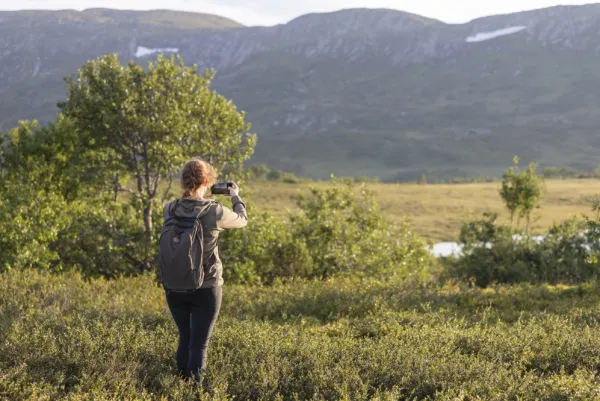 Pinewood Naisten metsästysvaatteet/Naisten Metsästystakit^Finnveden Hoodie naisten fleecetakki, Olive