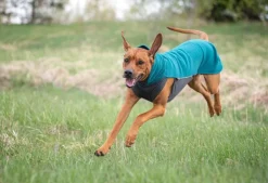 Pomppa Jumppa koirantakki, 60-65 cm, Forest| Fleecetakit