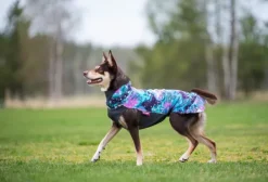 Pomppa Jumppa koiran fleecetakki, 60 - 65 cm, Aurora| Fleecetakit