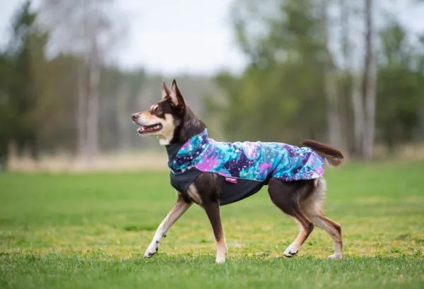 Pomppa Jumppa koiran fleecetakki, 60 - 65 cm, Aurora| Fleecetakit