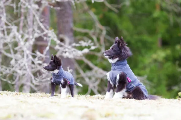 Pomppa Jumppa koiran fleecetakki, 60 - 65 cm, harmaa| Fleecetakit