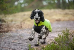 Pomppa Fleecetakit^Jumppa koiran fleecetakki, 31 - 34 cm, Lime