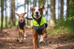 Pomppa Fleecetakit^Jumppa koiran fleecetakki, 31 - 34 cm, Lime