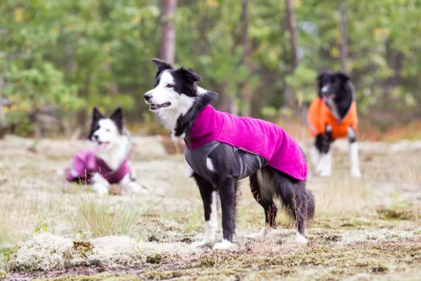 Pomppa Fleecetakit^Jumppa koiran fleecetakki, 37 - 40 cm, punavioletti