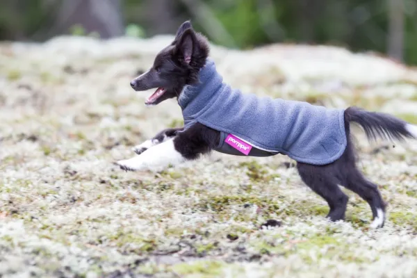 Pomppa Fleecetakit^Jumppa koiran fleecetakki, 25 - 28 cm, harmaa