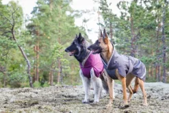 Pomppa Kevyt koirantakki, 52-56 cm, Graphite| Sadetakit