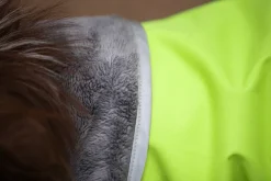 Pomppa Sadetakit^Kevyt koiran välikausitakki, 44 - 48 cm, Lime