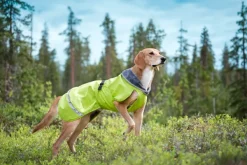 Pomppa Kevyt koiran välikausitakki, 52 - 56 cm, Lime| Sadetakit