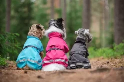 Pomppa Kuori koiran sadetakki, 60-65 cm, Graphite| Sadetakit