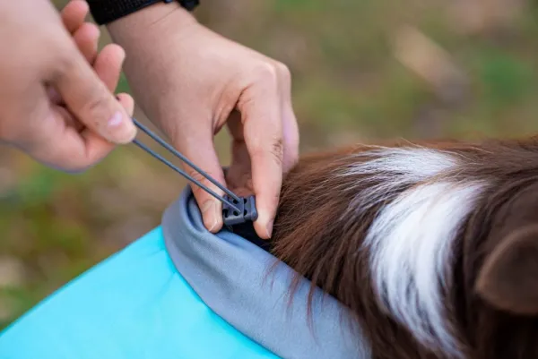 Pomppa Sadetakit^Kuori koiran sadetakki, 60-65 cm, Arctic