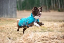 Pomppa Sadetakit^Kuori koiran sadetakki, 60-65 cm, Arctic