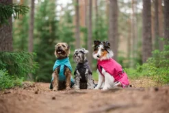 Pomppa Sadetakit^Kuori koiran sadetakki, 60-65 cm, Arctic