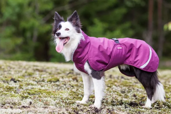 Pomppa Talvitakit^Perus koirantakki, 37-40 cm, Plum