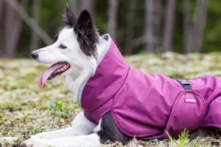 Pomppa Perus koirantakki, 44-48 cm, Plum| Talvitakit