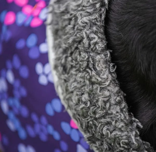 Pomppa Perus koirien talvitakki, 52 - 56 cm, Cosmos| Talvitakit