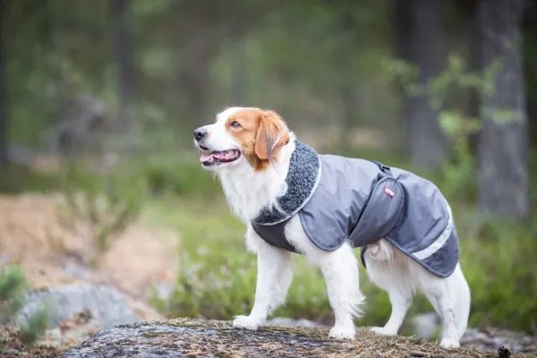 Pomppa Sadetakit^Perus koirien talvitakki, 25 - 28 cm, harmaa