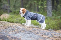 Pomppa Perus koirien talvitakki, 60 - 65 cm, harmaa| Talvitakit