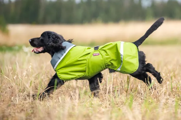 Pomppa Sade koiran sadetakki, 37 - 40 cm, Lime| Sadetakit