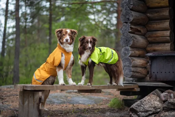 Pomppa Sade koiran sadetakki, 37 - 40 cm, Lime| Sadetakit