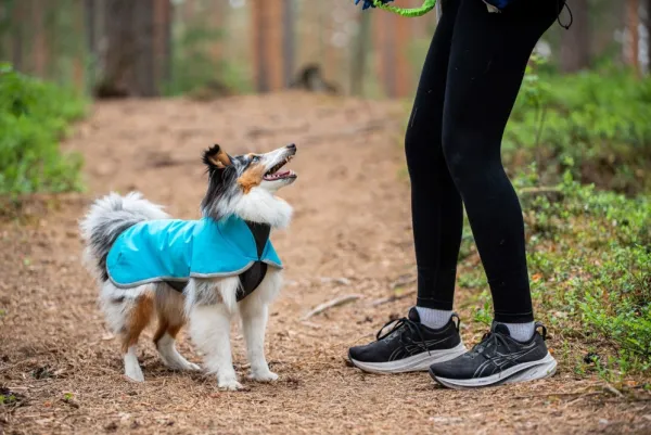 Pomppa Fleecetakit^Sportti koirantakki, 60 cm, Arctic