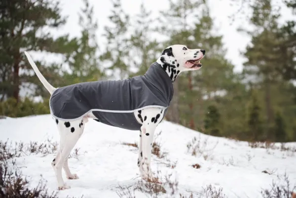 Pomppa Sportti koirantakki, 31-34 cm, Graphite| Fleecetakit