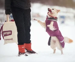 Pomppa Talvitakit^Toppa koiran talvitakki, 60-65 cm, Plum