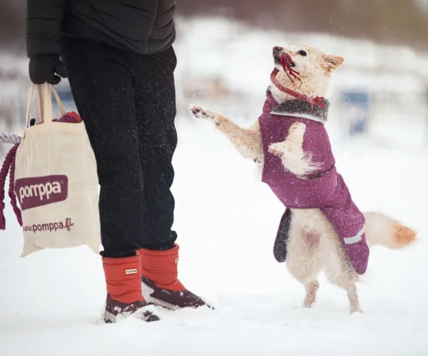 Pomppa Toppa koiran talvitakki, 52-56 cm, Plum| Talvitakit