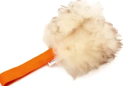 Psarvard Aktivointilelut^Trainer Pocket oranssi koiranlelu