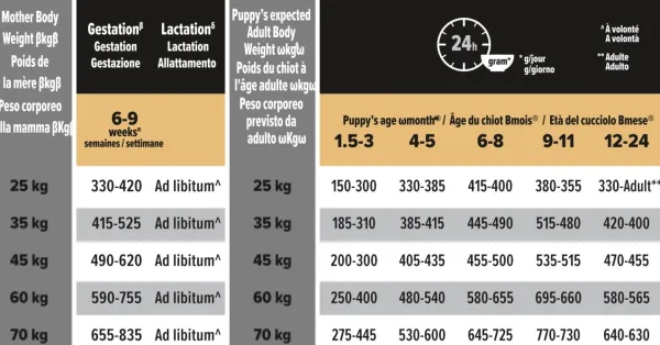 Purina Koiran Kuivaruoka^PRO PLAN Large Athletic Puppy HEALTHY START 12kg