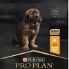 Purina PRO PLAN Large Robust Puppy HEALTHY START 12kg| Koiran Kuivaruoka