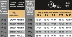 Purina PRO PLAN Large Robust Puppy HEALTHY START 12kg| Koiran Kuivaruoka