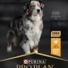 Purina Koiran Kuivaruoka^PRO PLAN Medium & Large Adult 7+ AGE DEFENSE 14kg