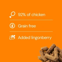 RAUH! Chicken Lingonberry Treat 100 g| Makupalat