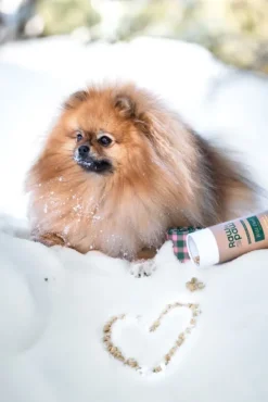 Raw for Paw Wild Duck makupalat| Makupalat