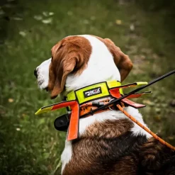 Rexa Vilkkuvalot Ja Huomiotuotteet^heijastinkaulapanta metsästykseen No.2 40-55cm