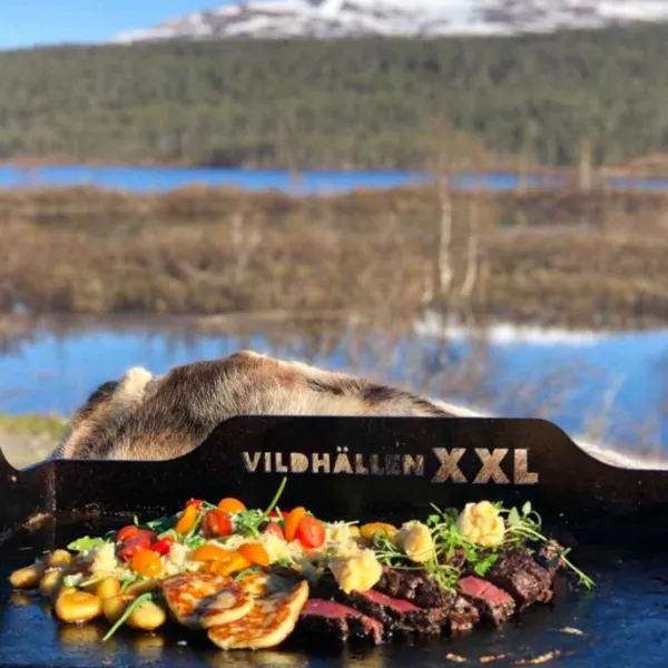 Royal Steel Vildhällen XXL paistolevy| Ruoanlaitto ja grillaus/Paistolevyt Ja Paistipannut