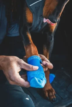 RuffWear Koiran Tossut^Bark'n Boot Socks koiran tossut, Earth Brown