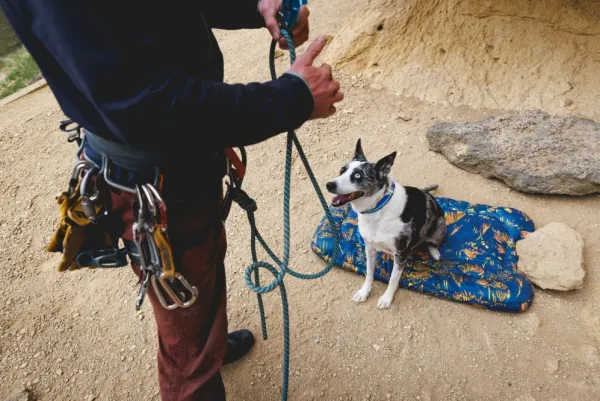 RuffWear Basecamp Bed koiranpeti, Medium, Deep Jungle| Koiranpedit