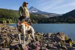 RuffWear Brush Guard lisäsuoja, tummanharmaa| Koiran Reput