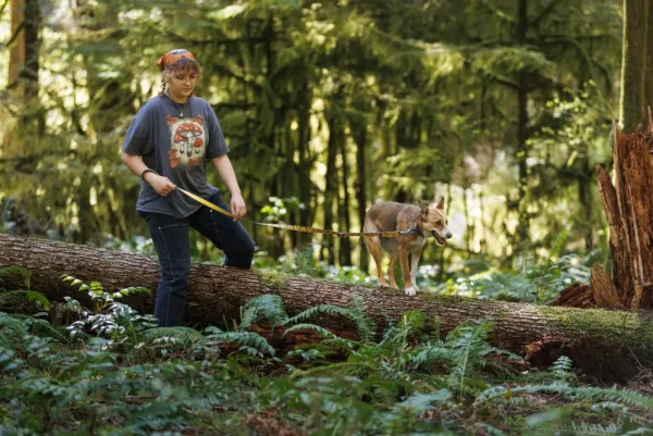 RuffWear Crag Collar koiran kaulapanta, Rising Wave| Kaulapannat