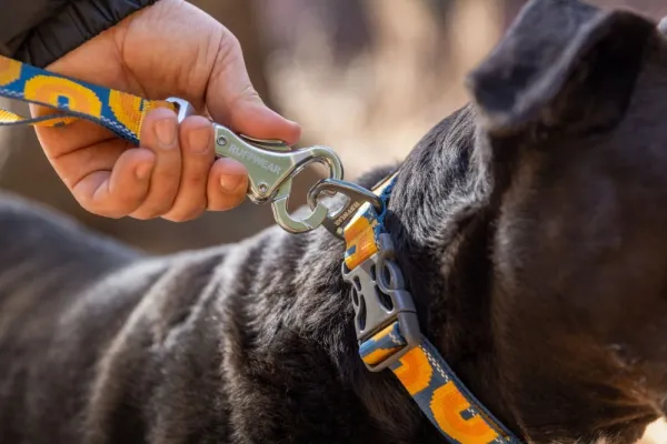 RuffWear Taluttimet^Crag Leash koiran talutushihna, Canyon Oxbow