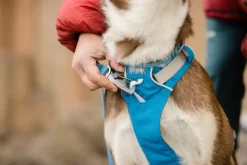 RuffWear Flagline Harness valjaat, harmaa| Valjaat