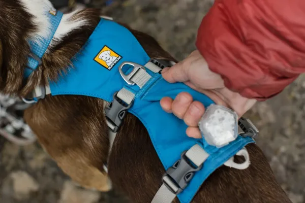 RuffWear Flagline Harness valjaat, harmaa| Valjaat