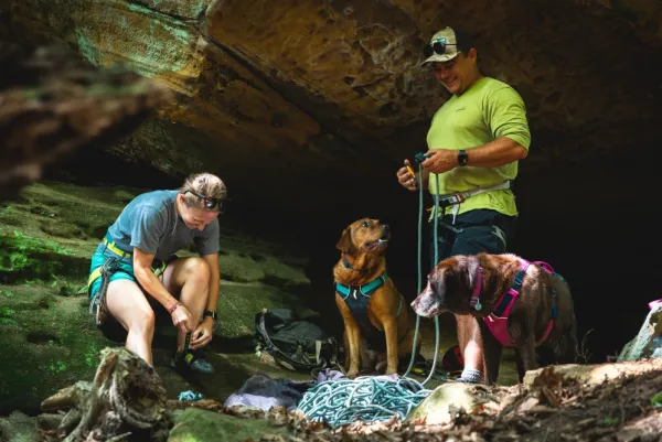 RuffWear Flagline Harness valjaat, harmaa| Valjaat