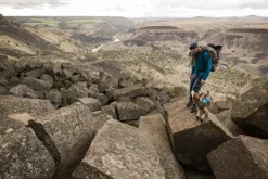 RuffWear Flagline Harness valjaat, harmaa| Valjaat